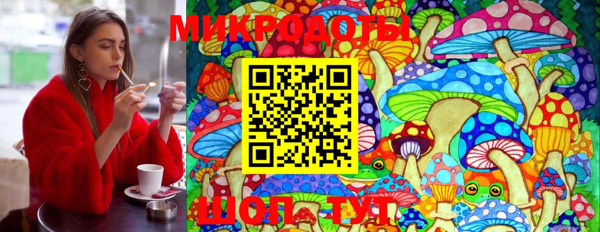 Галлюциногенные грибы Cubensis Домодедово